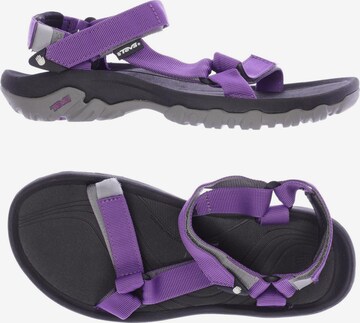 TEVA Sandals & High-Heeled Sandals in 40 in Purple: front