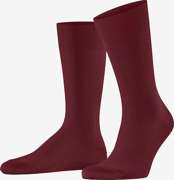 FALKE Socks 'Tiago Special Edition' in Red: front