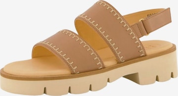 Sandalo di Paul Green in marrone: frontale