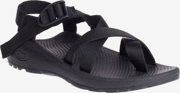 Sandales 'Z/ 2' Chaco en noir : devant