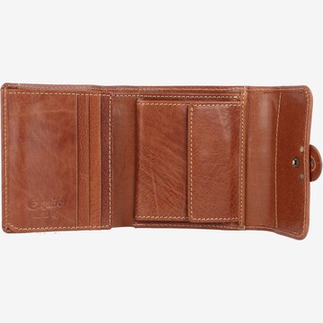 Esquire Wallet in Brown