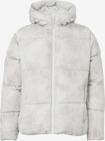 HOLLISTERZimska jakna - bijela boja: prednji dio