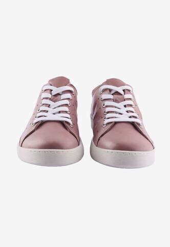 D.MoRo Shoes Sneaker 'YUZZEROALT' in Grau