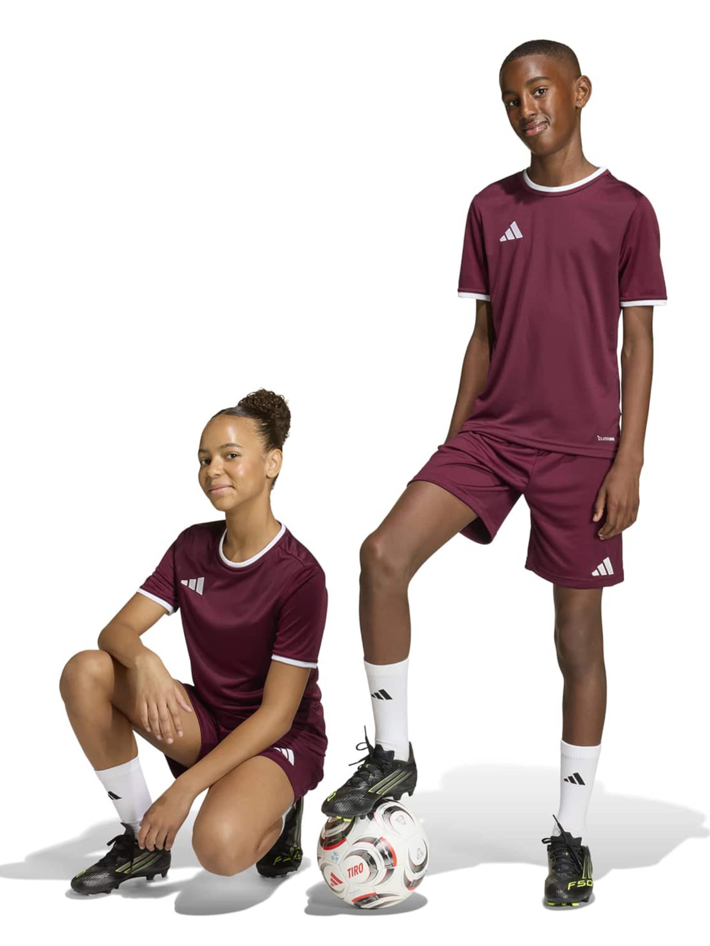 ADIDAS PERFORMANCE - regular Pantalón deportivo 'ENT26' en rojo