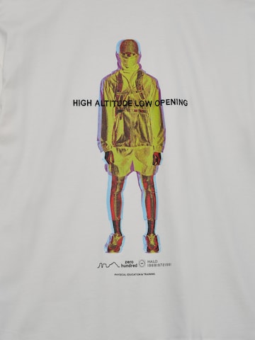 HALO Shirt in Grijs
