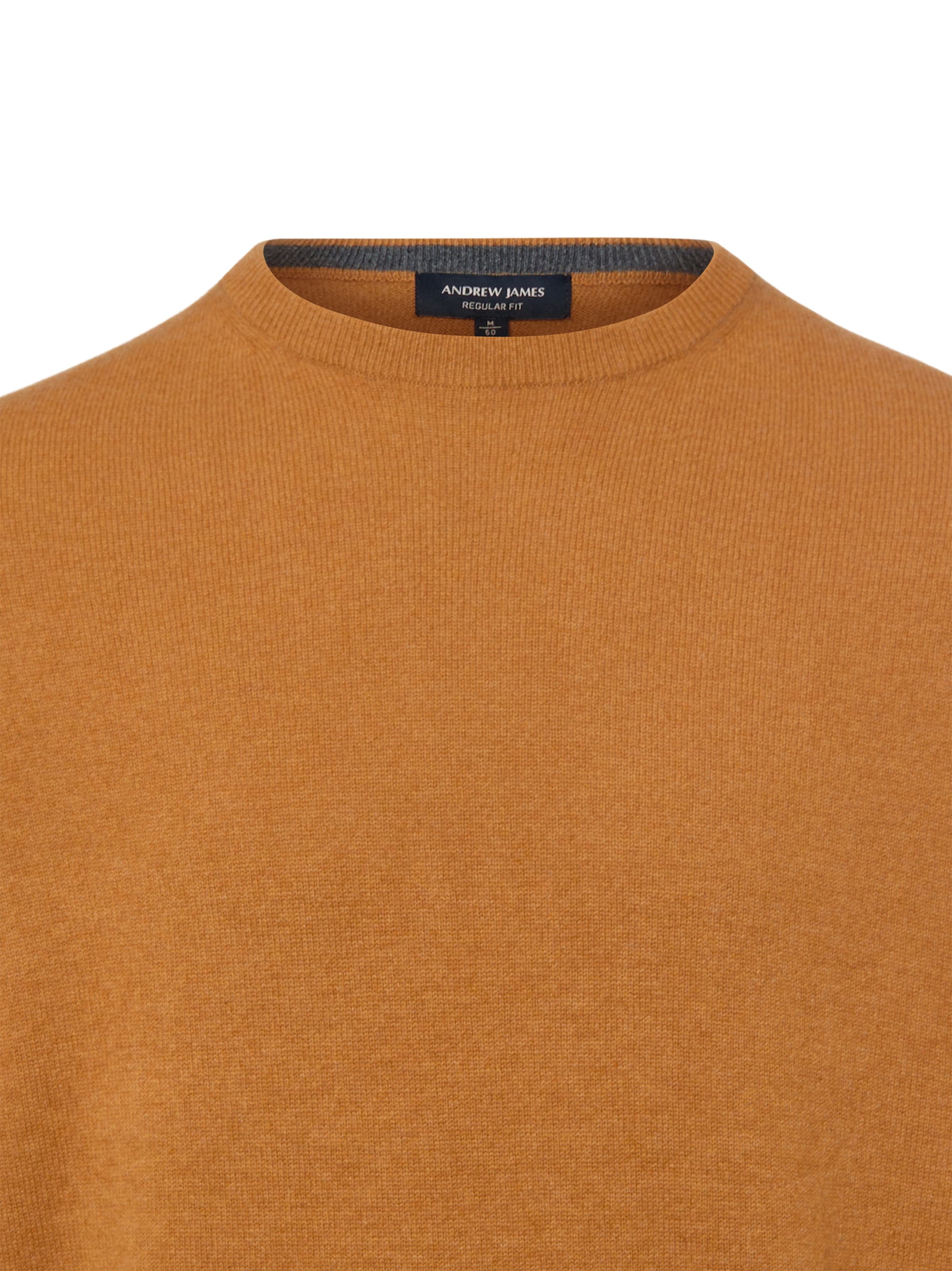 Pull-over Andrew James en orange