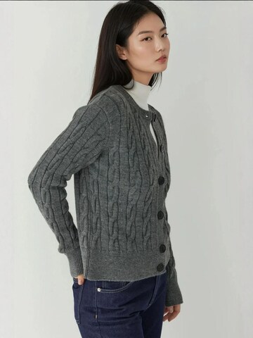 Hiccup Strickjacke in Grau