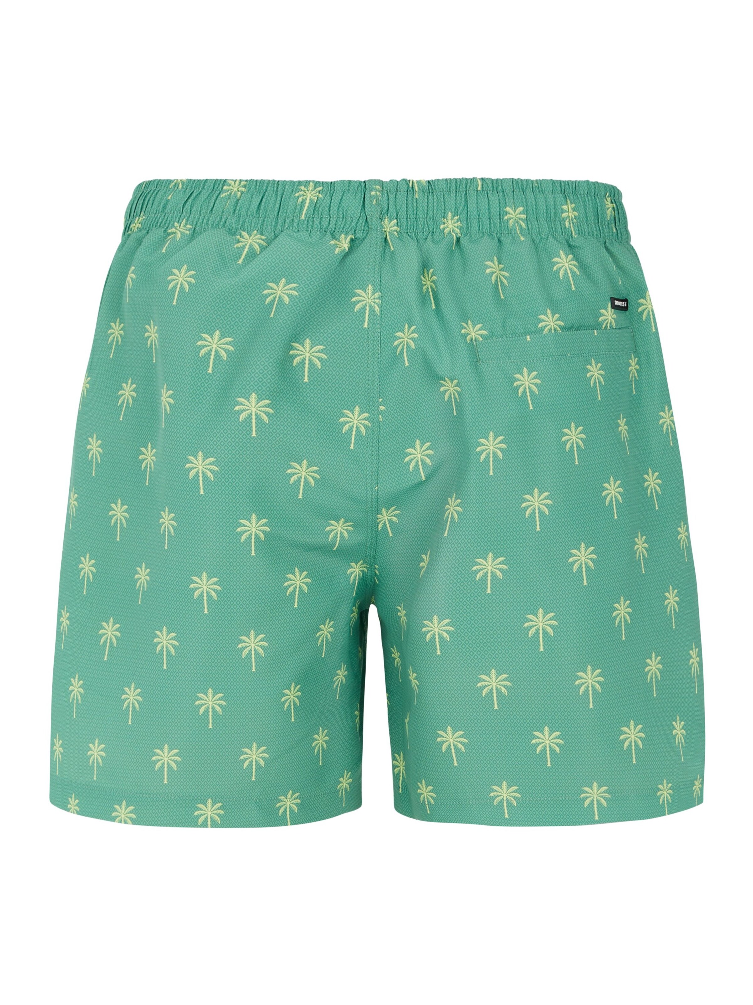 PROTEST Badeshorts 'PRTALVIS'‌‌‌‌‌‌‌‌ in Grün