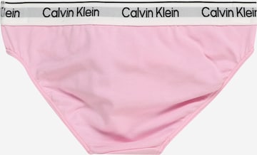 mėlyna Calvin Klein Underwear Standartinis Apatinės kelnaitės