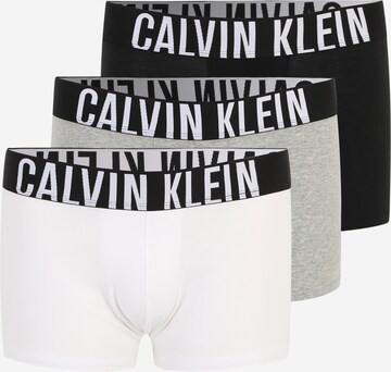 Calvin Klein Underwear Plus Шорты Боксеры в Серый: спереди