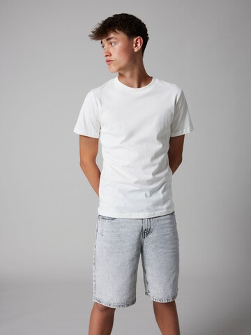 LMTD Normalny krój Jeansy 'NLNBIRM' w kolorze szary