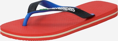 HAVAIANAS Zehentrenner 'BRASIL' in royalblau / hellgrün / rot / schwarz / weiß, Produktansicht