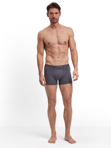 FALKE Boxer shorts '2-Pack' in Grey