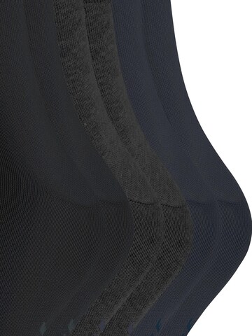FALKE Socks 'Happy 6-Pack' in Mixed colors