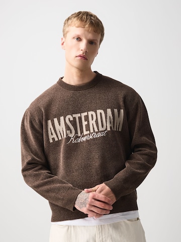 Next Pullover in Braun