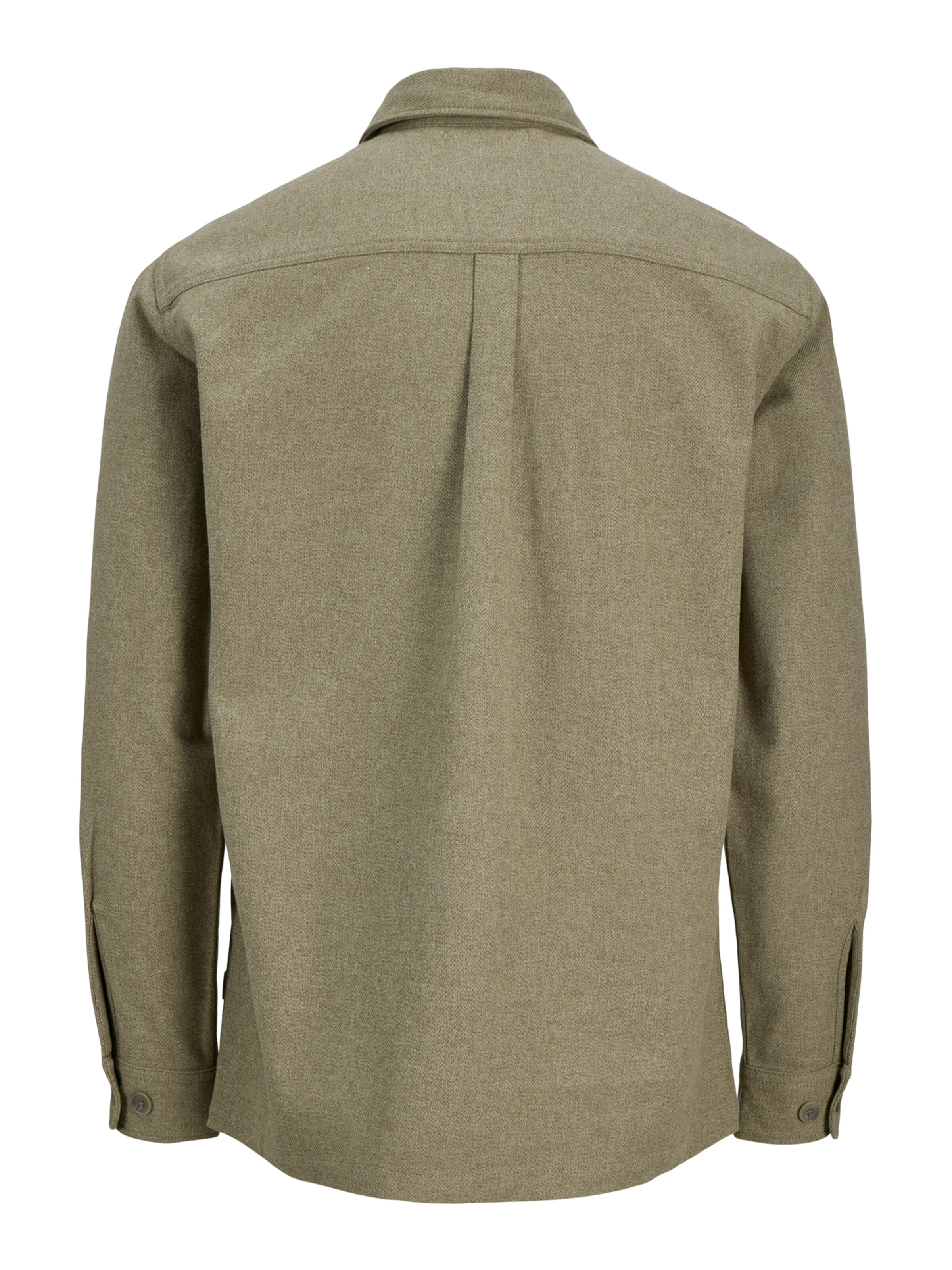 Jack & Jones Premium Regular fit Overhemd 'JJRAYLE' in Groen