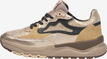 Floris van Bommel Sneaker 'Treni 01' in Gold: Vorderseite