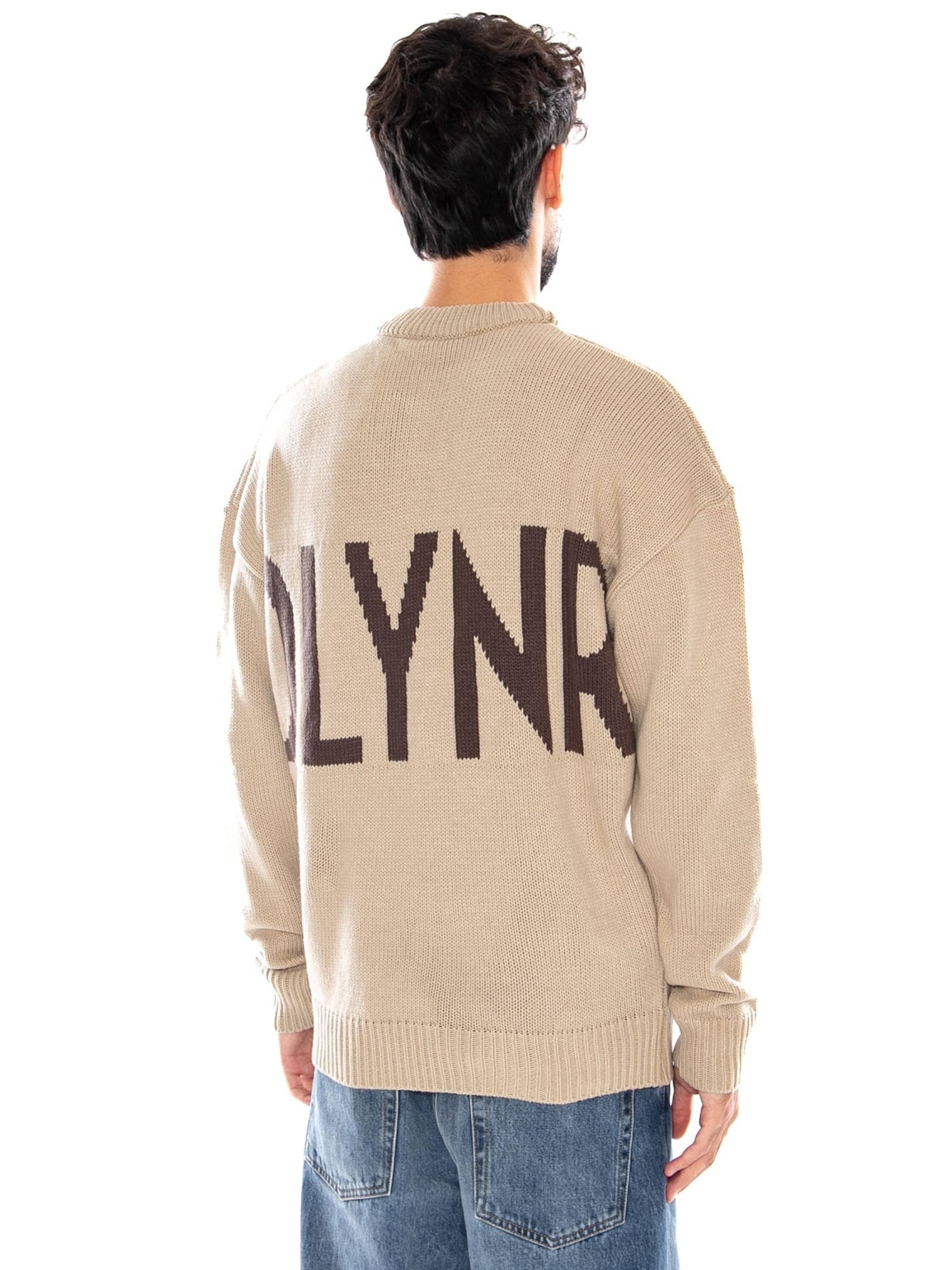 Pullover 'DLYNR SWEATER BLACK' di DOLLY NOIRE in beige