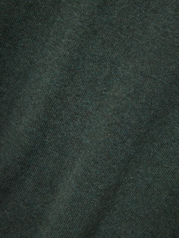 Funky Buddha Sweater in Green