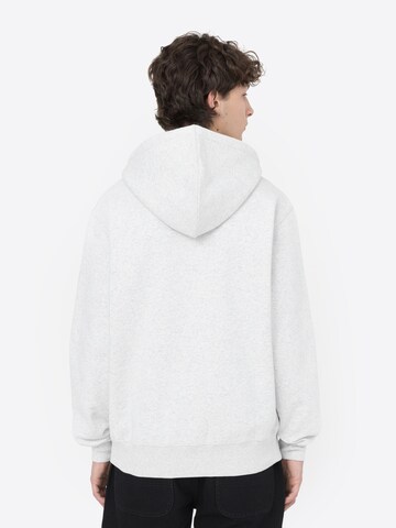 DICKIES Sweatshirt 'SUMMERDAL' in Grau