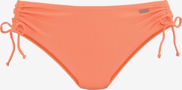 VENICE BEACH Bikiniunderdel i orange: framsida