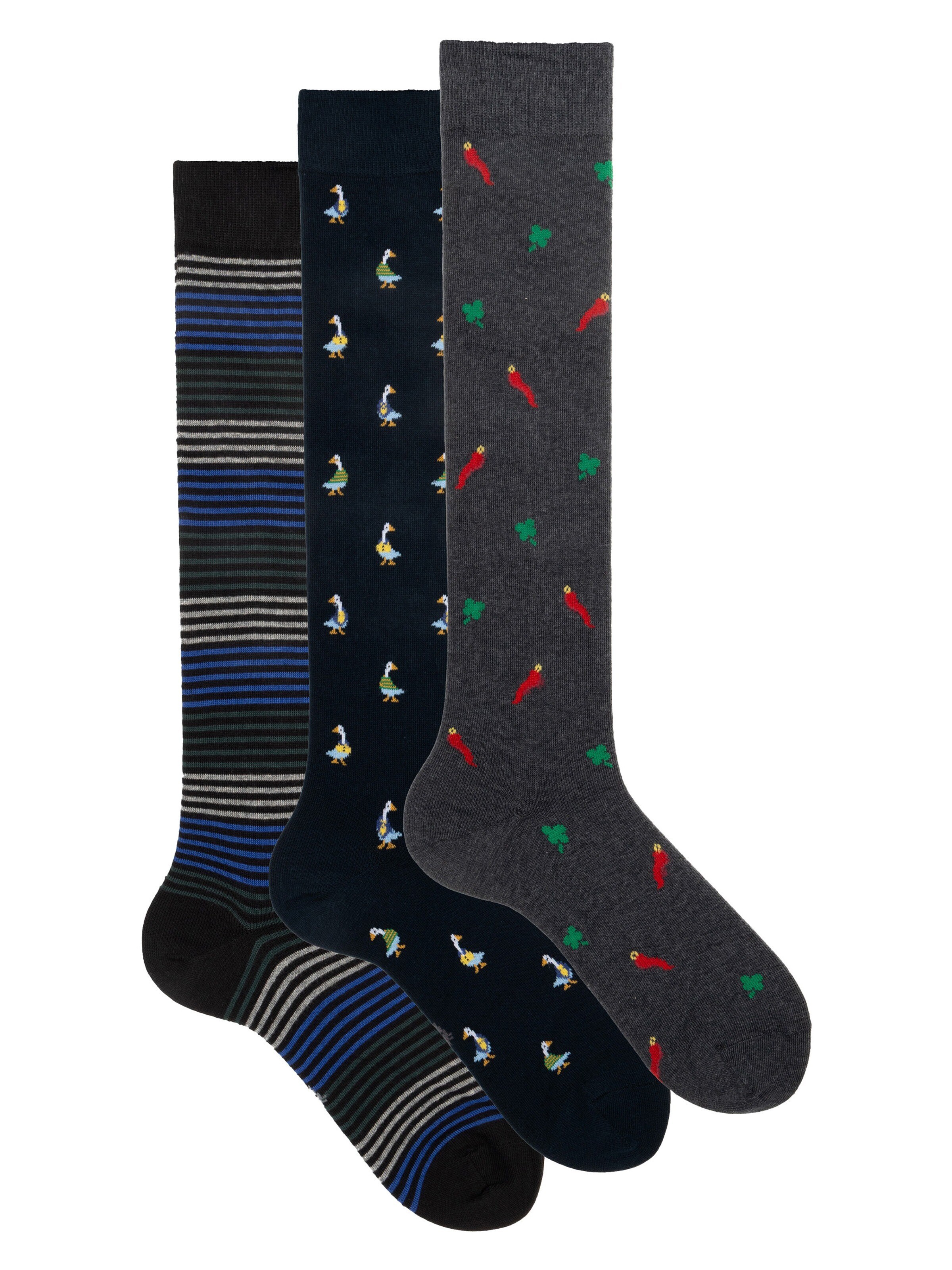 Gambaletto '3 Pack Calze Lunghe Fantasia - Confezione Regalo - Ciocca' di Ciocca in rosa: frontale