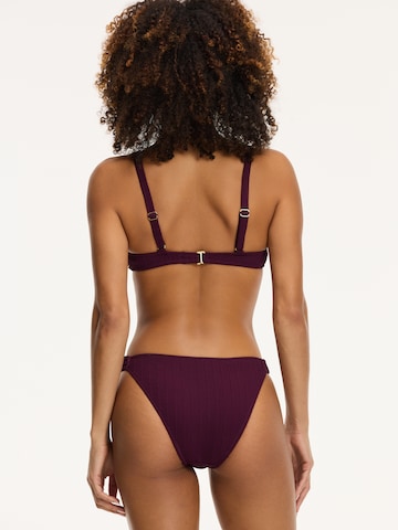 Triangle Bikini 'CHLOE SCOOP' Shiwi en violet