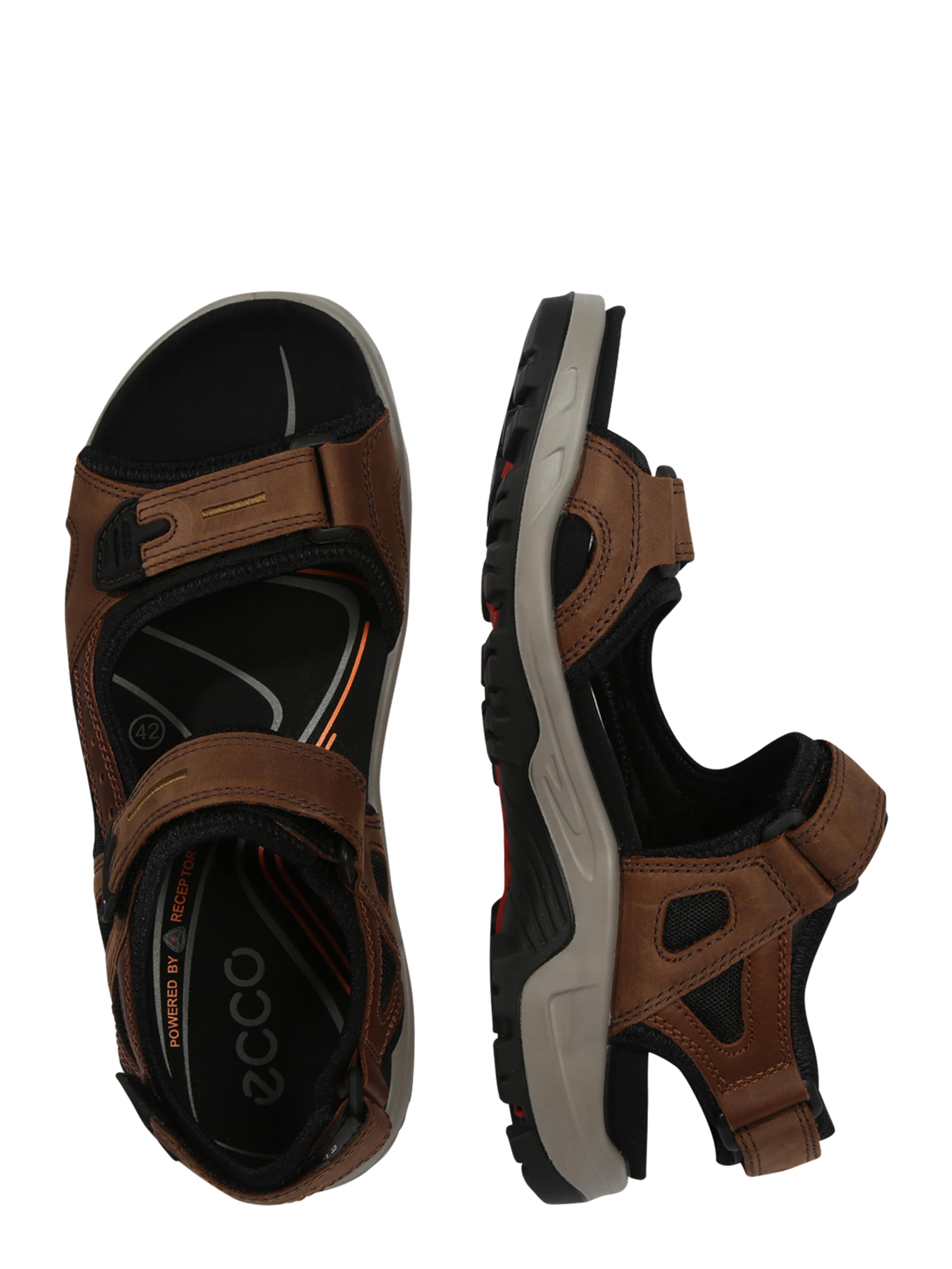 brūns ECCO Trekinga sandales 'Offroad'