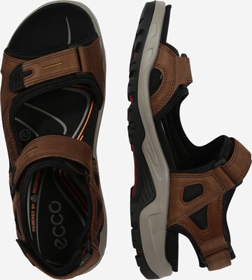 ECCO Trekkingsandaler 'Offroad' i brun