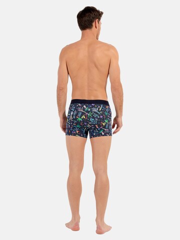 Boxers ' Cactée ' HOM en mélange de couleurs