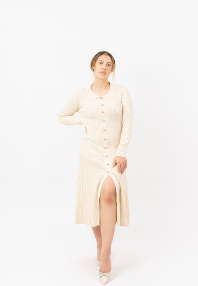 Elara Knit dress in L in Beige, Item view