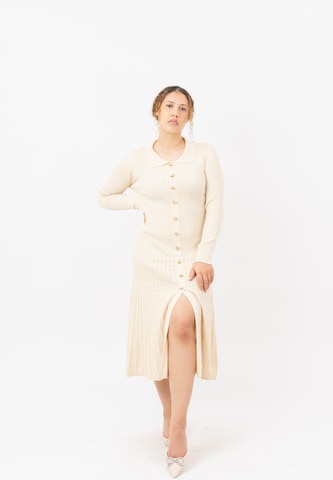 Elara Knit dress in Beige: front