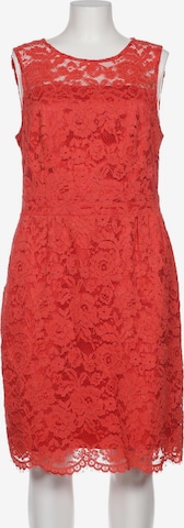 APART Dress in XXL in Red: front