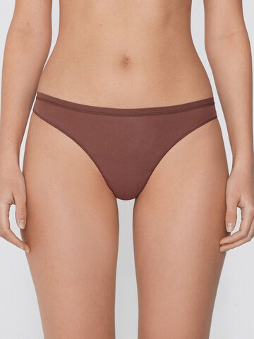 Tezenis Thong in Brown: front