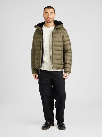 HOLLISTER Winter jacket in Green