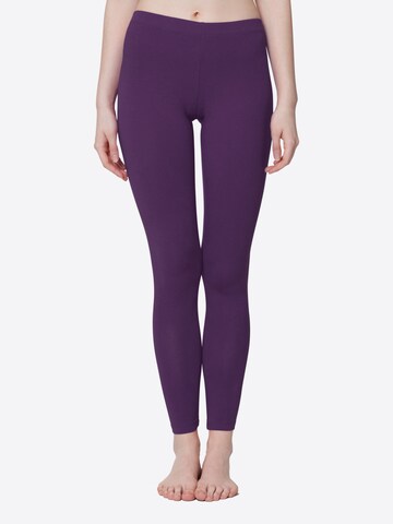 celodoro Slimfit Leggings 'Stretchy'‌‌‌ in Lila: Vorderseite