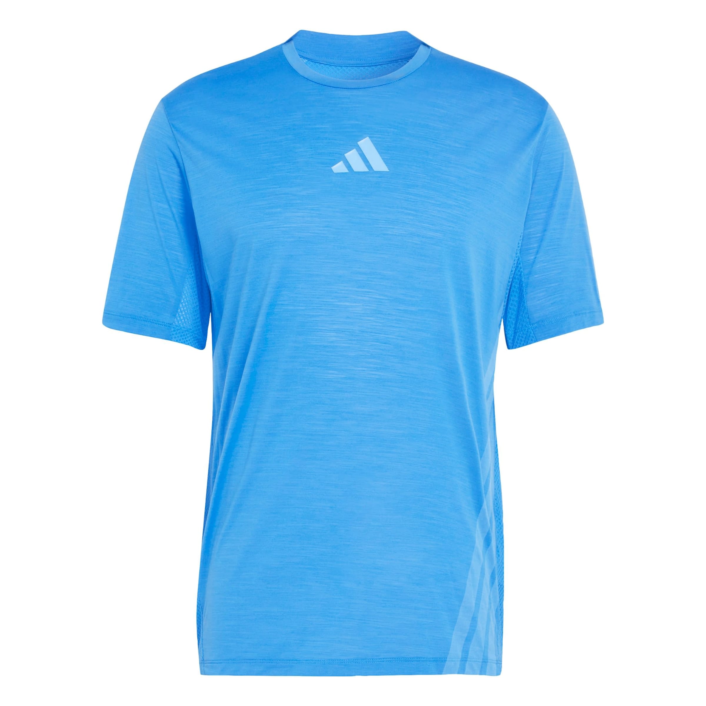 ADIDAS TERREX Funktionsshirt 'Xperior' in Blau: Vorderseite