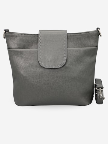 Brise Crossbody Bag 'Ellie' in Grey: front