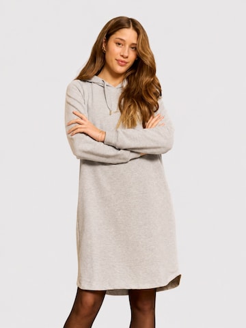 Robe 'Gila 190' ze-ze en gris