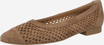 Paul Green Ballerina värissä ruskea: etupuoli