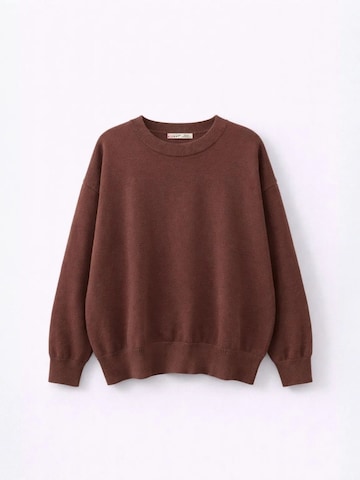 Pullover 'Pullover' di MixRay in marrone: frontale