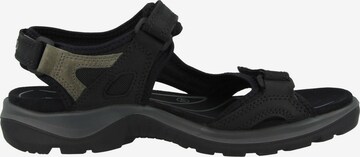 ECCO Trekkingsandale 'Offroad' in Schwarz