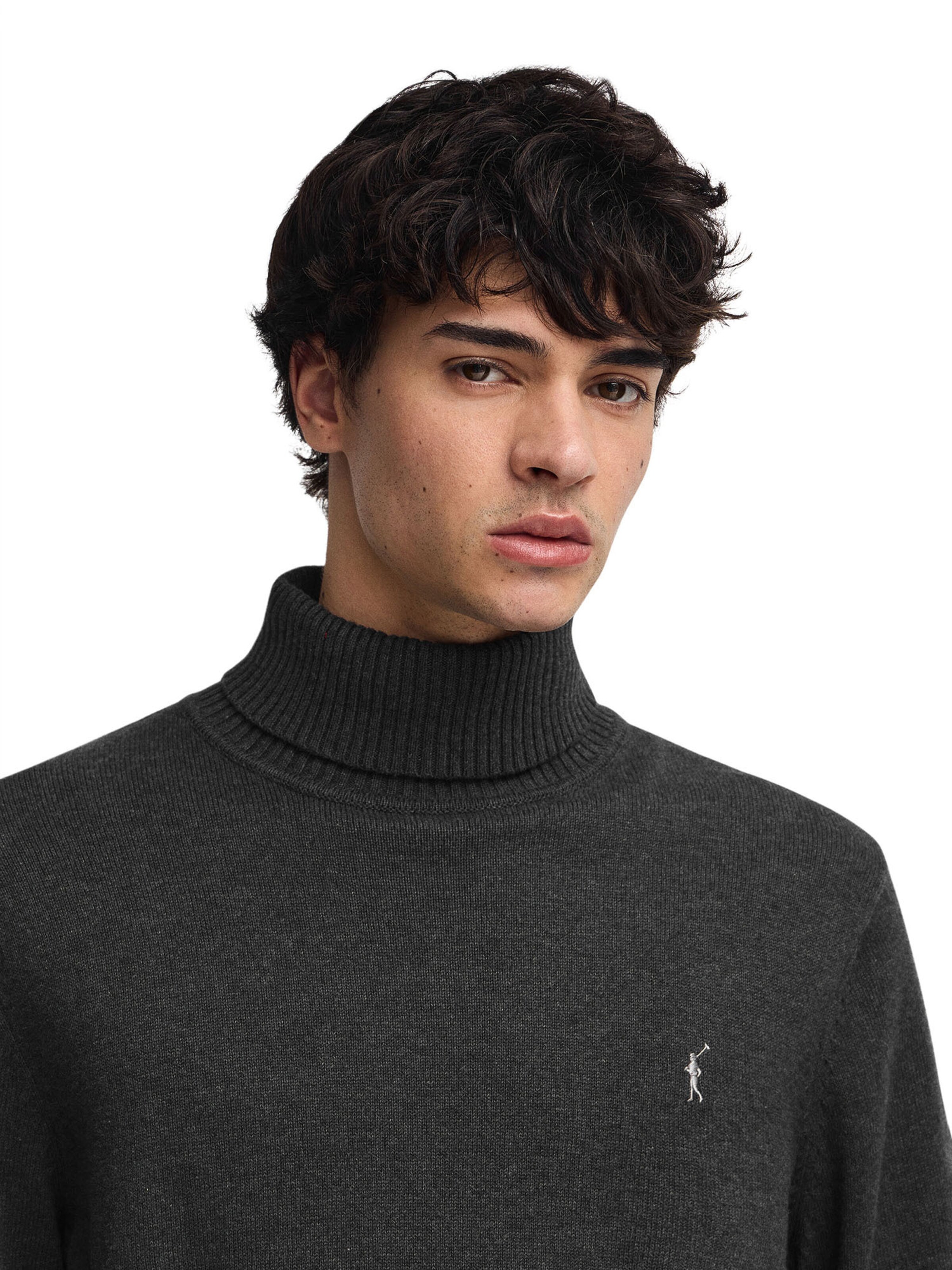 Polo Club Sweater in Grey