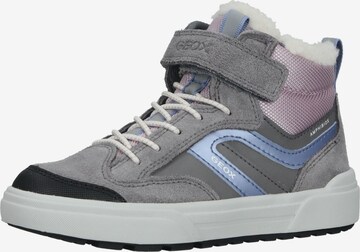 Baskets GEOX en gris : devant