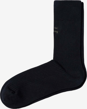 Scalpers Sukat 'Emb' värissä sininen: etupuoli