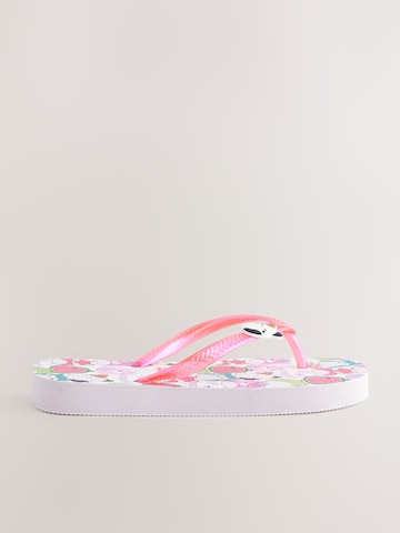 Next Sandal 'Squishmallows' i blandade färger