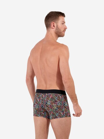 Boxers ' Roald Boxer Briefs ' HOM en mélange de couleurs