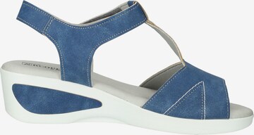 Arcopedico Sandals in Blue