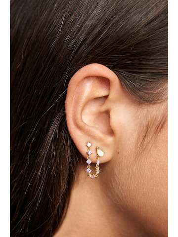 P D PAOLA Earrings 'Joanne' in Gold