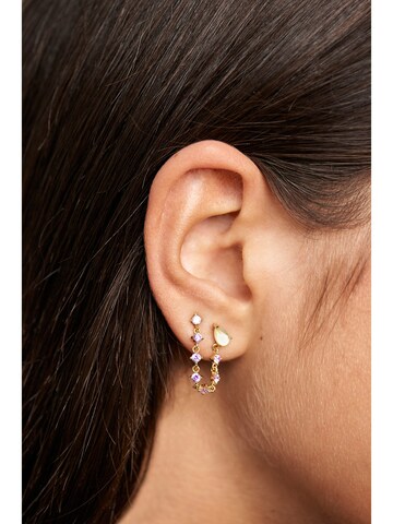 P D PAOLA Earrings 'Joanne' in Gold